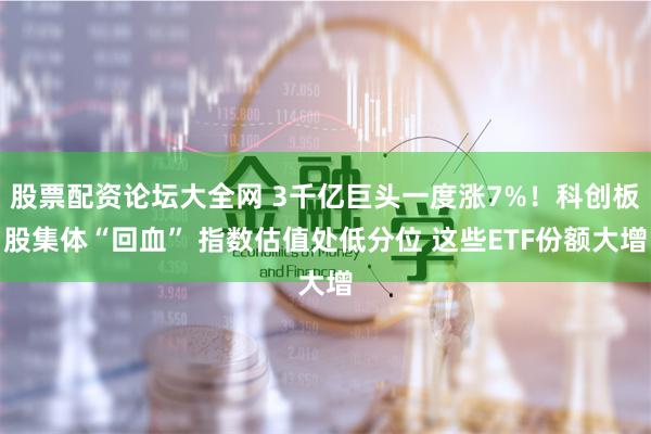 股票配资论坛大全网 3千亿巨头一度涨7%！科创板股集体“回血” 指数估值处低分位 这些ETF份额大增